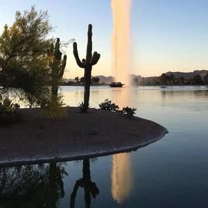 Meet your Posher, Michele